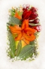 Impression of Lillies